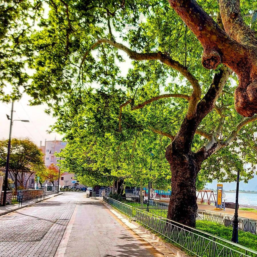 Nafpaktos Beach Luxury Suites Exterior photo